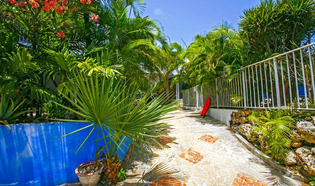 Blue Paradise Le Gosier  Eksteriør bilde