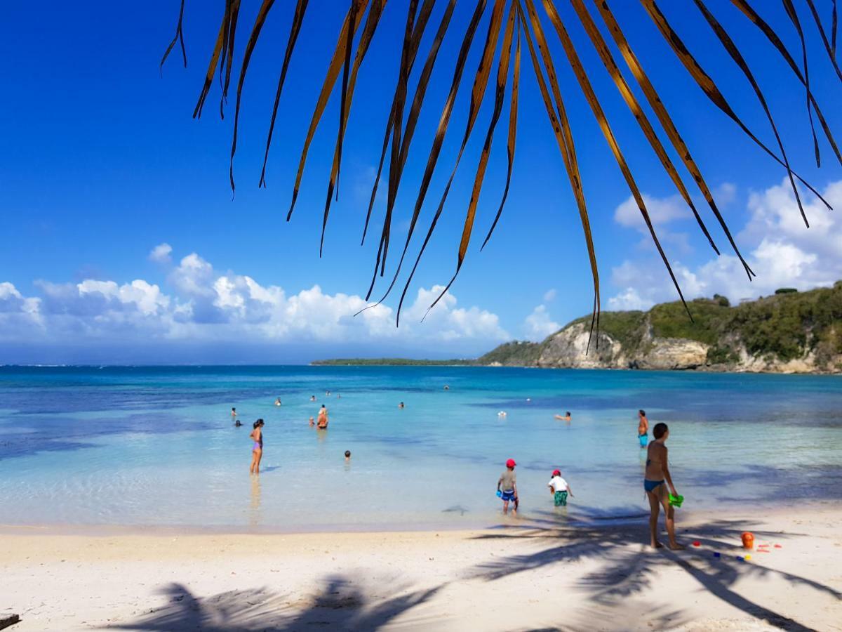 Blue Paradise Le Gosier  Eksteriør bilde