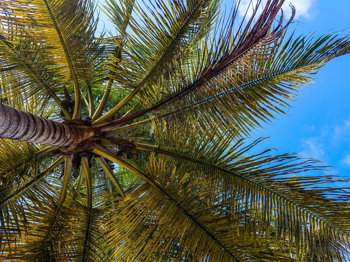 Blue Paradise Le Gosier  Eksteriør bilde